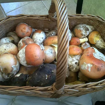 La Dama Azul Apartament *