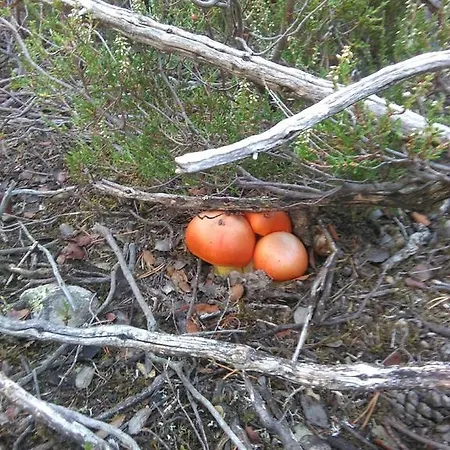 La Dama Azul Lägenhet Ágreda
