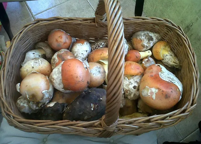 La Dama Azul 아파트 *